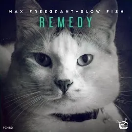 Max Freegrant — Remedy Ft Slow Fish — обложка